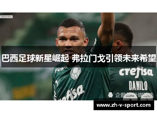 巴西足球新星崛起 弗拉门戈引领未来希望 巴西足球新星崛起 弗拉门戈引领未来希望