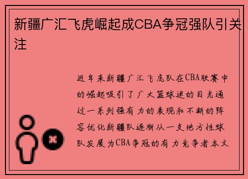 新疆广汇飞虎崛起成CBA争冠强队引关注 新疆广汇飞虎崛起成CBA争冠强队引关注